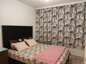 Centrally Located Studio Apartment, Espoo